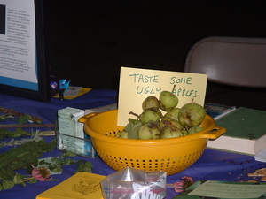 homegrown apples.jpg